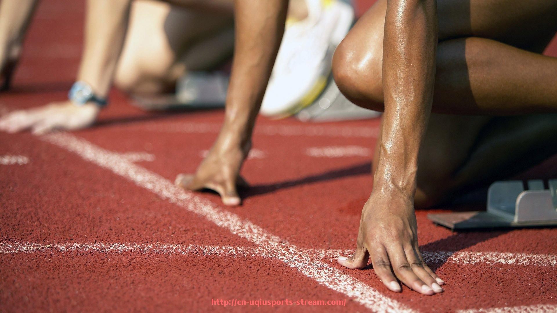 U球体育直播-世俱杯裁判吹罚倾向研究报告,数据揭示偏好趋势